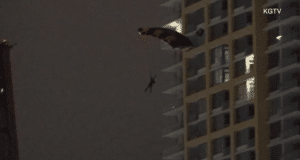 San Diego Base-Jumper falls to their death
